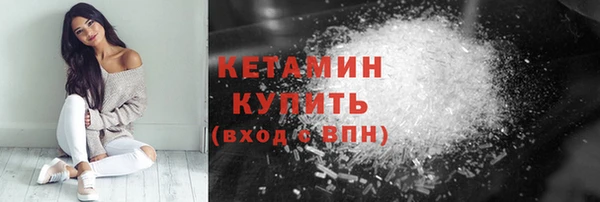 шишки Новодвинск