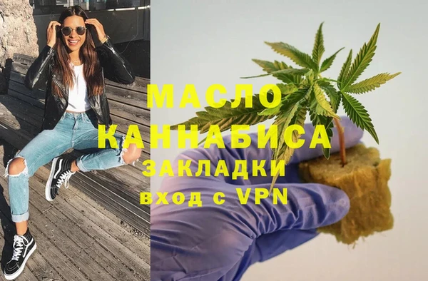 шишки Новодвинск