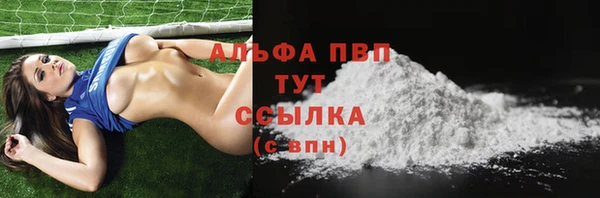 амф Новозыбков