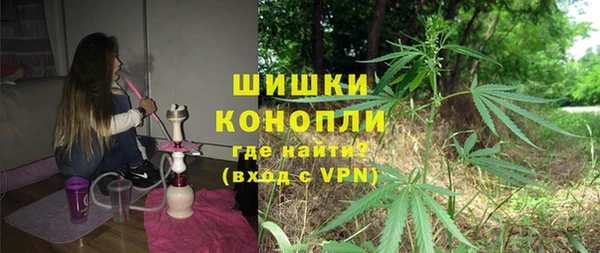 амф Новозыбков