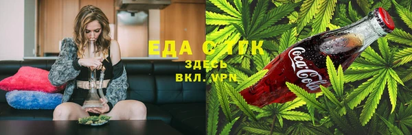 шишки Новодвинск