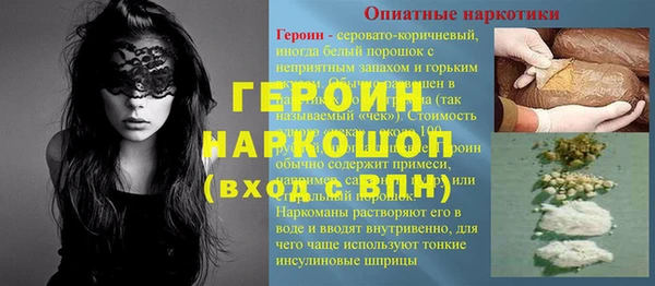 шишки Новодвинск