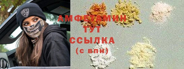 шишки Новодвинск