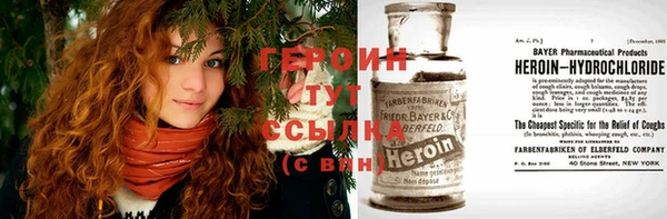 шишки Новодвинск
