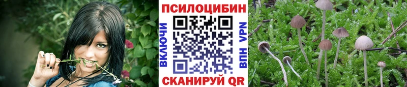 Псилоцибиновые грибы Psilocybine cubensis  закладка  мега ссылки  Симферополь 