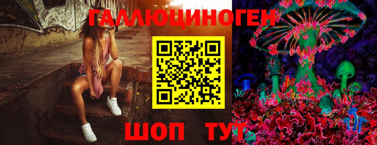 Псилоцибиновые грибы прущие грибы  Псилоцибиновые грибы ЛСД  Симферополь 