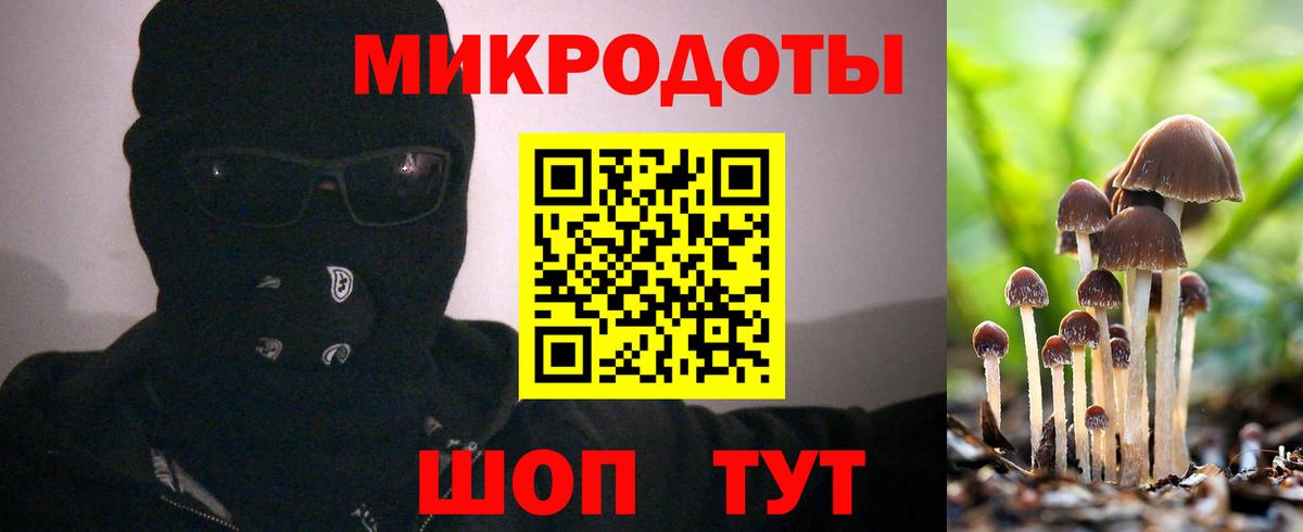 Псилоцибиновые грибы прущие грибы Симферополь